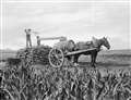 A worker using a well and a pump to fill a water cart – from one of Morris Pottinger's old John O'Groat Journal columns.