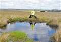 First Nazi bomb makes a nice pond for dogs