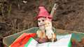 Gnome sweet gnome. Alexander's faithful friends look on as the roses are planted. Picture: DGS