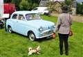 PICTURE SPECIAL: How many balloons can you fit in a Standard 10 classic car? Halkirk's vintage vehicle event has the answer 