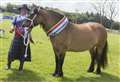 Caithness County Show: Champion of champions title goes to Highland pony