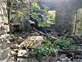 Charred wood inside the derelict cottage showing where the fire was. Picture supplied