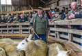 'I always look forward to lambing' - Sutherland sheep farmer prepares for 45th season