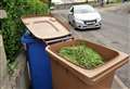 Price increase as new garden waste permits go on sale – demand will be high, say council 