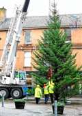 Wick could be without a tree this Christmas