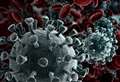 Eight new cases of coronavirus in the Highlands 