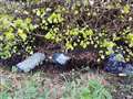 Suspected asbestos sheets and other rubbish dumped in a ditch between Lyth and Keiss. Picture: Donna Mather