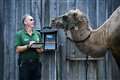 In Pictures: Animal magic at London Zoo on weigh-in day