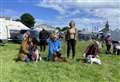 Dog contest attracts 'quality entry' at Caithness County Show 