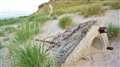 More WW2 defensive measures along Reiss beach at Wester. Picture: DGS