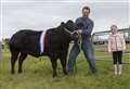 Gordon's heifer makes it a double at Canisbay Show