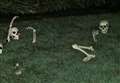 These lazy bones were just getting out of a flower bed on Thurso Road in Wick. Picture: DGS