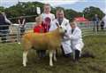 Caithness County Show: 'It makes all the hard work worthwhile'