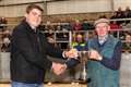 Halkirk heifer tops the Quoybrae calf show