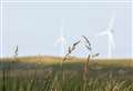 Thurso wind farm developer claims 'biodiversity gain' from Cairnmore Hill proposal