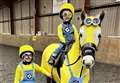 Minions steal the limelight at Pony Club Christmas Show