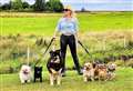 Caithness animal activist does a month of charity dog walks 