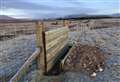 WATCH: Network Rail in move to help deer escape railway lines in north Sutherland