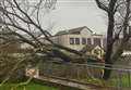 Tree snaps in high winds at Miller Academy, Thurso
