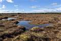 Caithness and Sutherland peatlands protected area extended after conifers removed