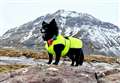 PICTURES: 'We are the voice for these voiceless animals' – Caithness model and her chihuahua brave wintry mountain climb for animal charity 