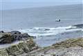Orca sightings along the Caithness coast