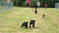 The terrier racing was another popular attraction and organised by Kirsty Moore.