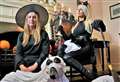Spooky shoot in support of greyhounds 