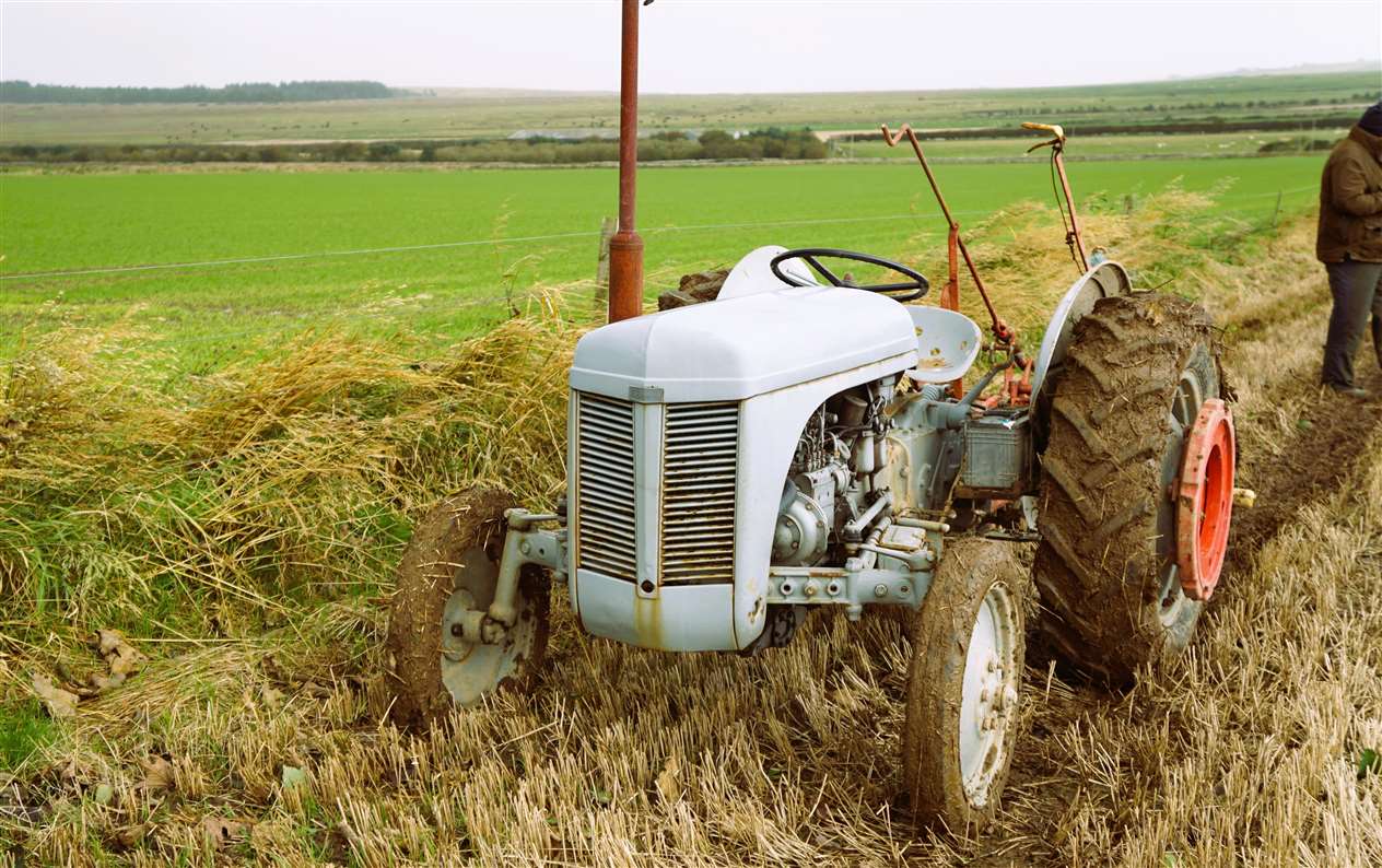 Vintage Ferguson tractor. Picture: DGS