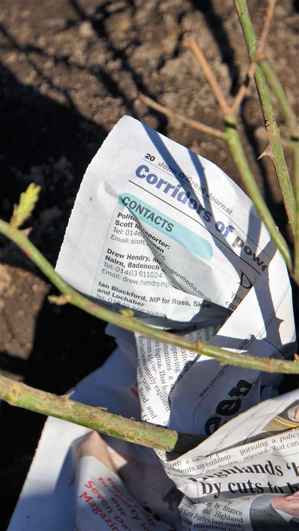 Old copies of the Groat are perfect for protecting the roots from frost. Picture: DGS