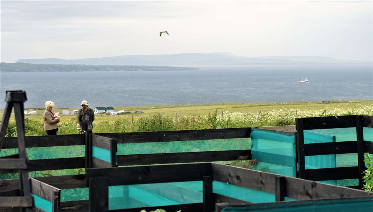 The site is on an hill that overlooks the Pentland Firth and is exposed to biting winds and salty air – not the best environment for growing herbs. Picture: DGS