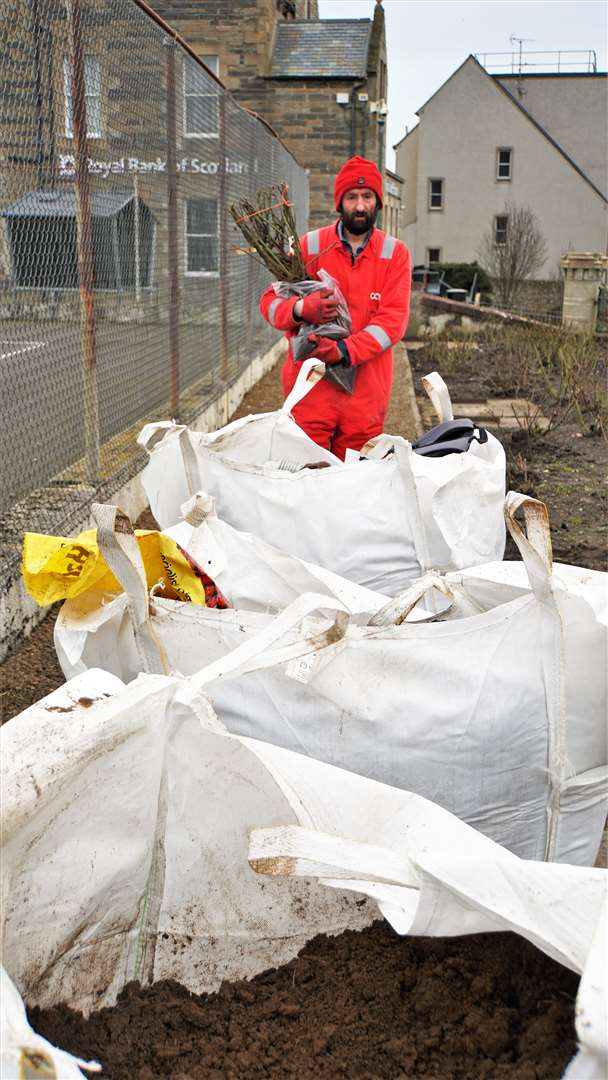 Tons of topsoil were delivered to the site on Olrig Street for helping bed the new roses. . Picture: DGS