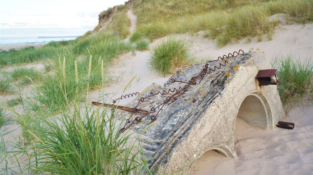 More WW2 defensive measures along Reiss beach at Wester. Picture: DGS