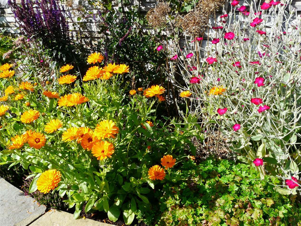 One of the raised beds in the memorial garden. Picture: Alan Hendry
