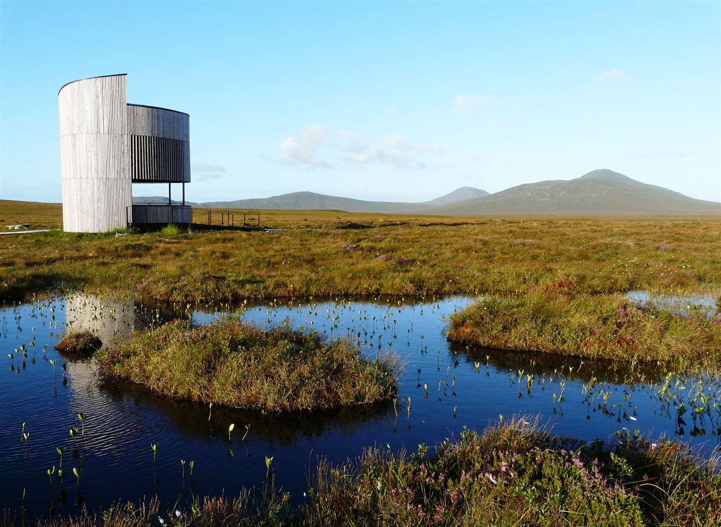 The Flow Country is considered the best example blanket bog in the world. Picture: Alan Hendry