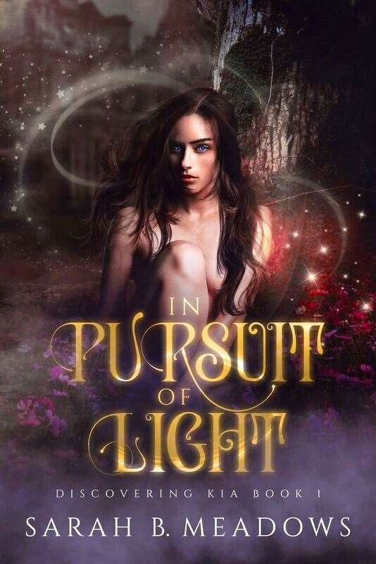 The cover of Sarah B Meadows' new book In Pursuit of Light.