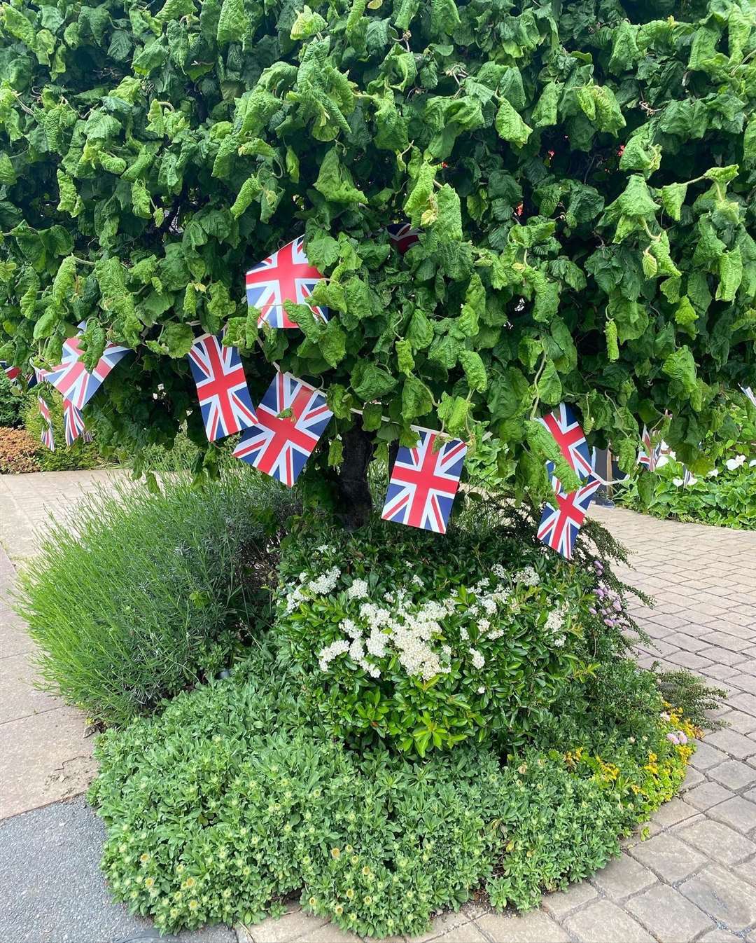 Platinum Jubilee decorations in Bromley, south London (Athina Hapeshis)