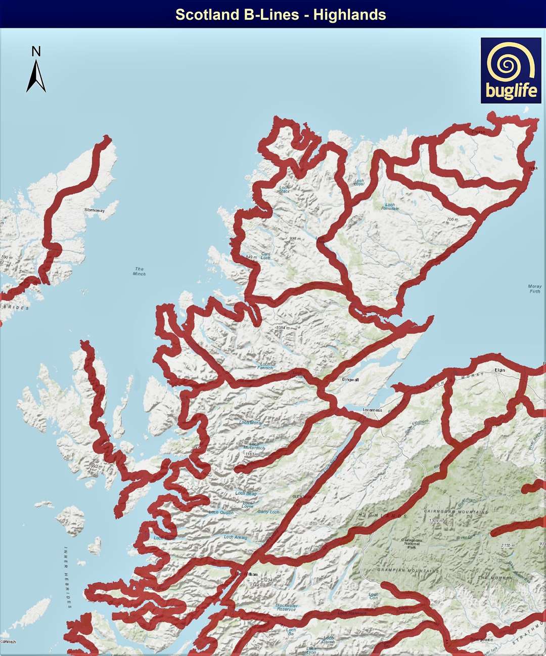 B-Lines map of Scotland showing insect routes.
