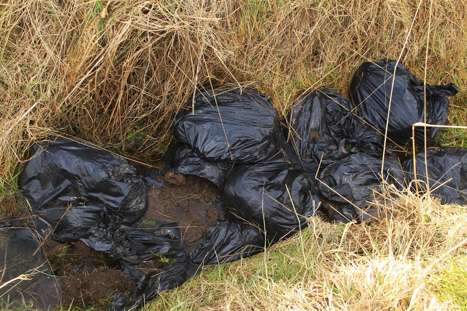 Some of the bulging bin liners of soil waste that were discarded alongside a popular walking route at Staxigoe. Picture: Alan Hendry