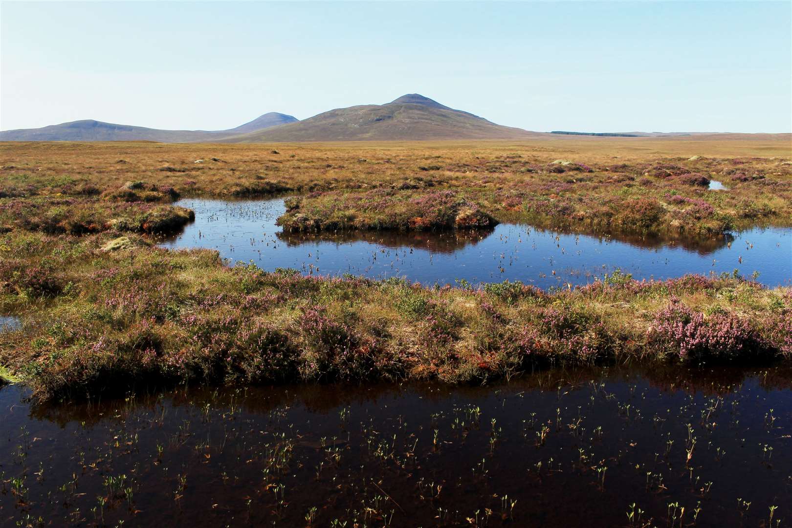 A central route through the far north peatlands would be 'heavily constrained by a lot of environmental designated areas'. Picture: Alan Hendry