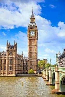 Tomi could be seen in news broadcasts from the Houses of Parliament.