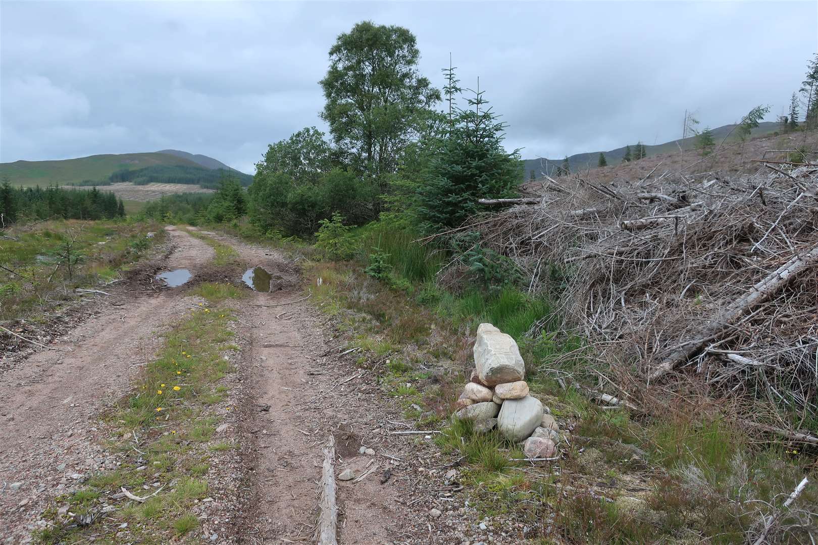 Forestry roads in Caithness are not included in the funding package.