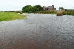Heavy rain earlier this month resulted in flooding in rural areas of the county.