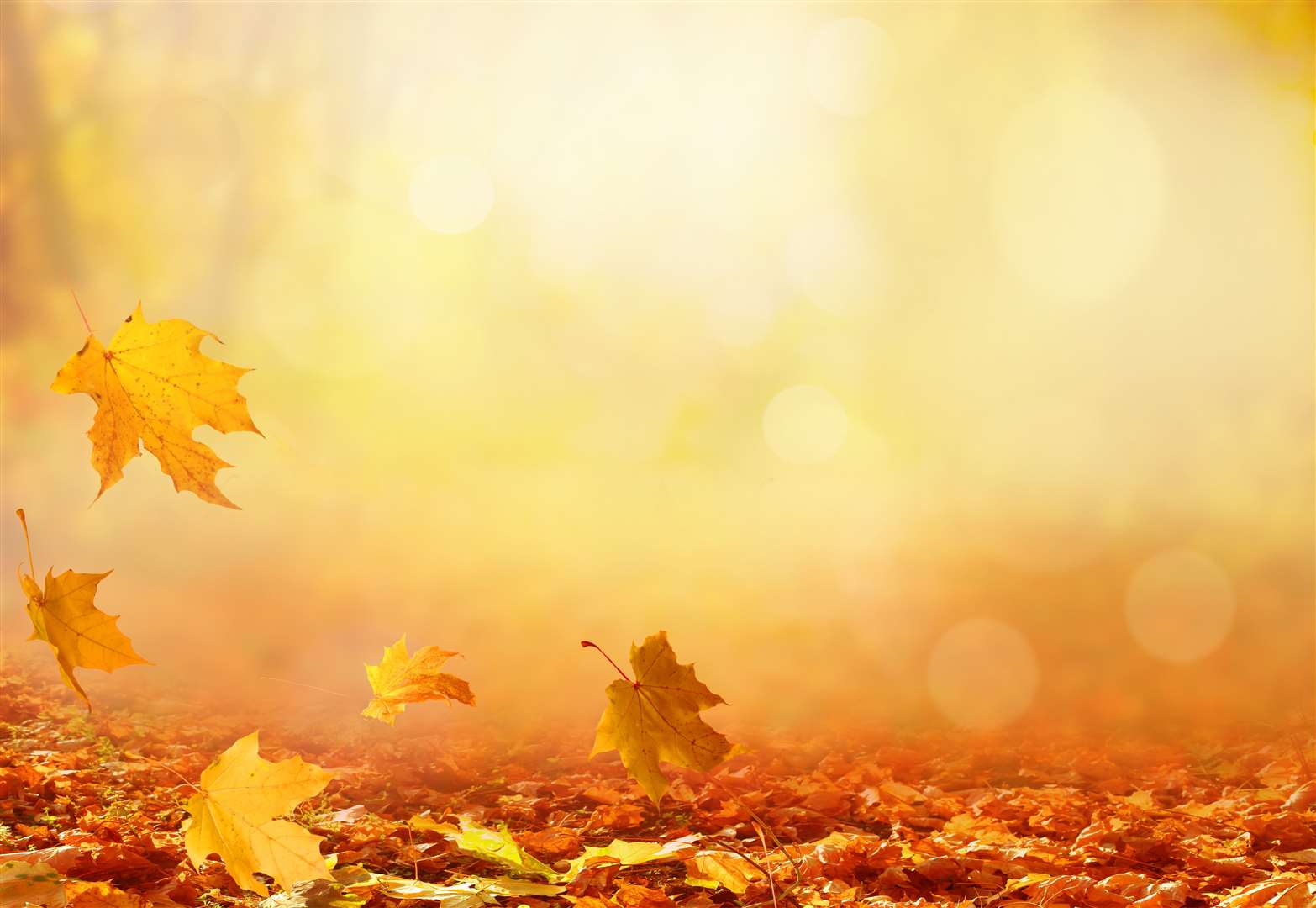 Autumn helps us to see the passage of time – a time to reflect on where we have come from and where we need to go.
