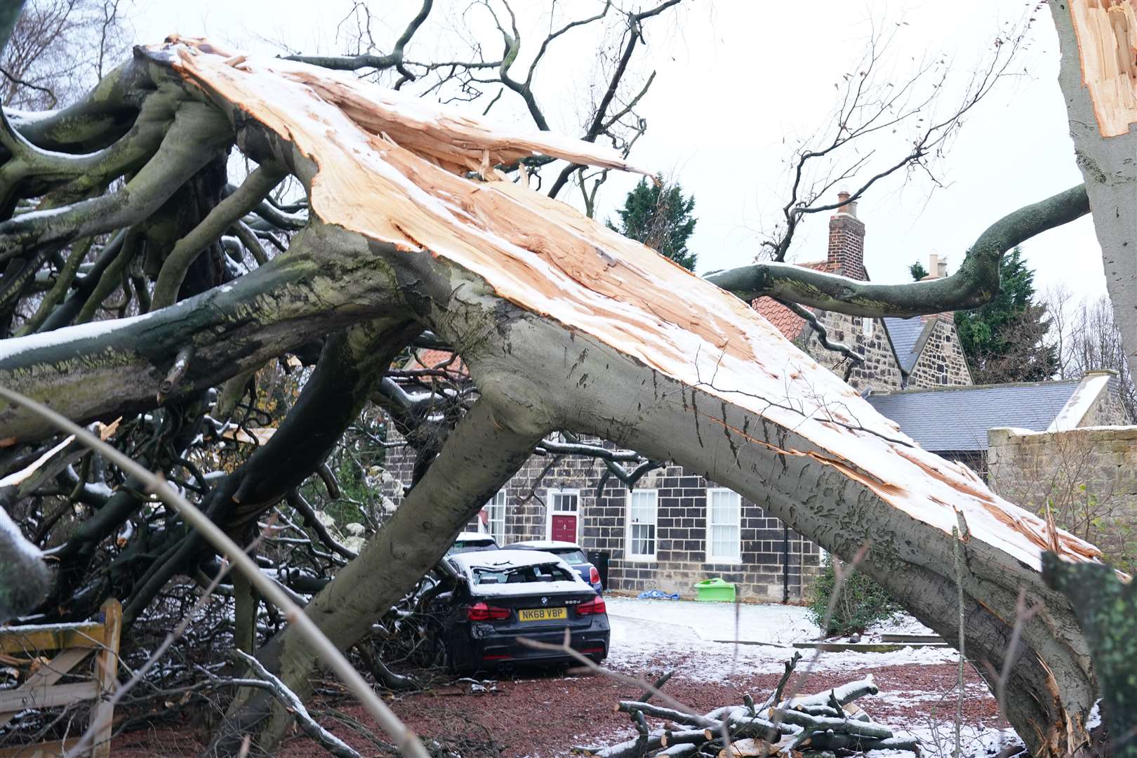 A fallen tree in North Tyneside in the aftermath of Storm Arwen in November 2021 (Owen Humphreys/PA)