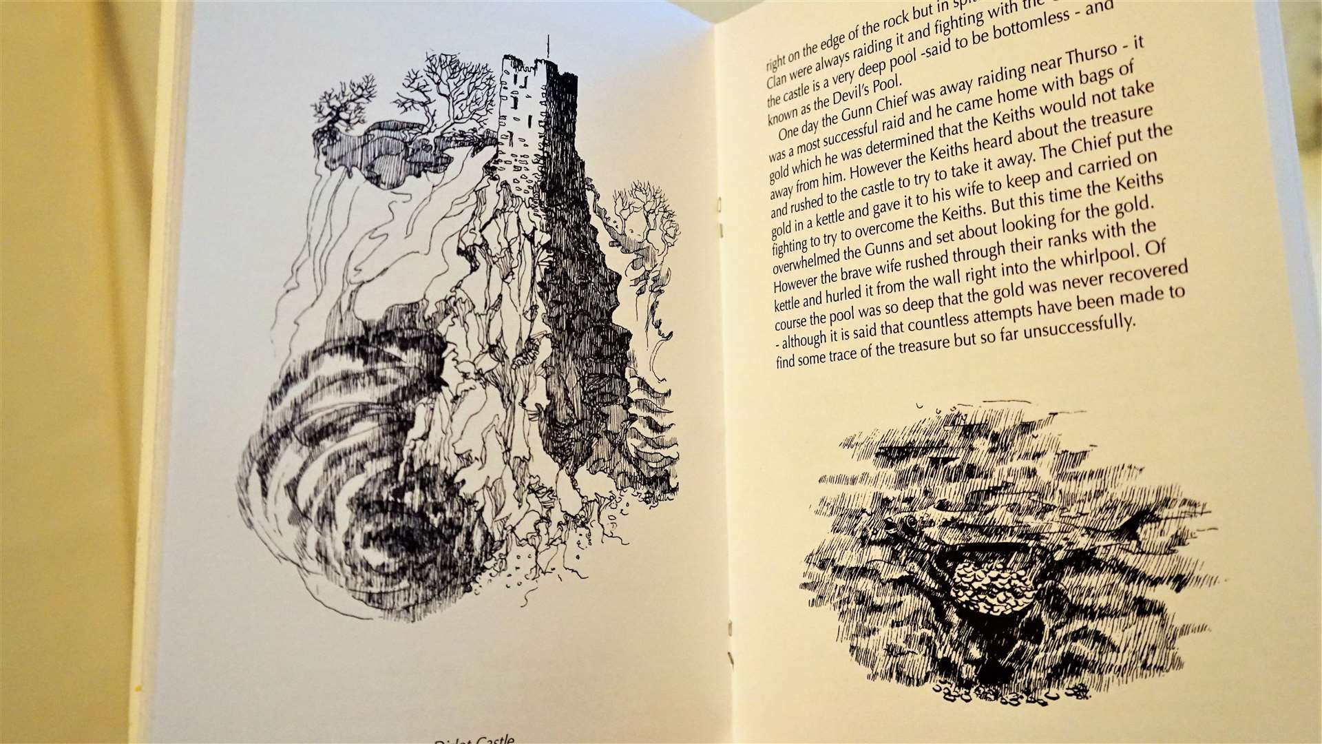 Some of Barbara's illustrations in the book.