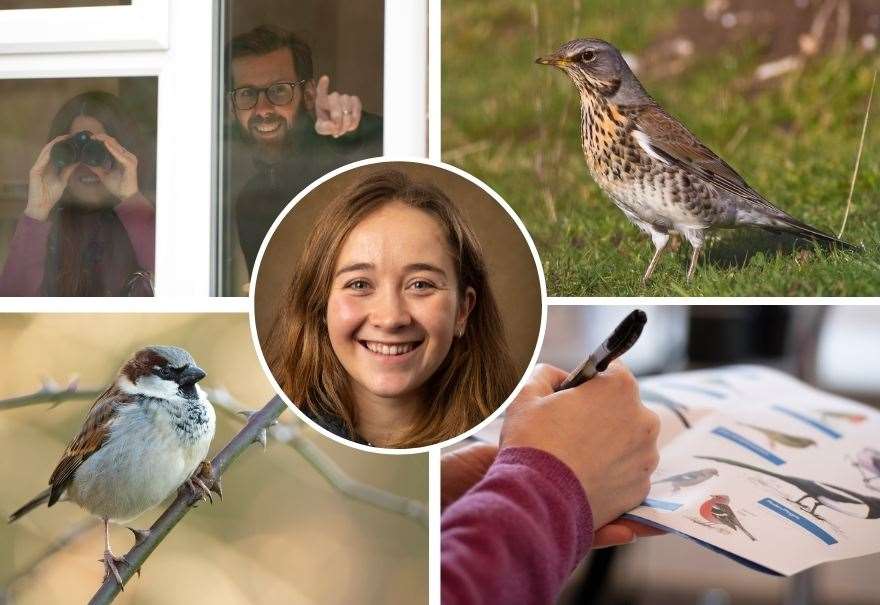 Events at Thurso and Latheron as part of RSPB's Big Garden Birdwatch