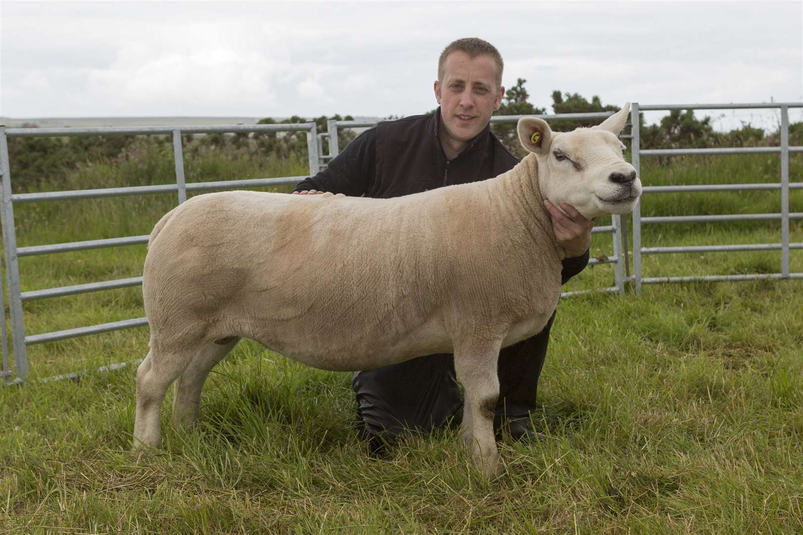 Jamie Coghill, Huna, with his supreme sheep and Texel champion, a two-crop ewe after a Knock tup. Picture: Robert MacDonald / Northern Studios