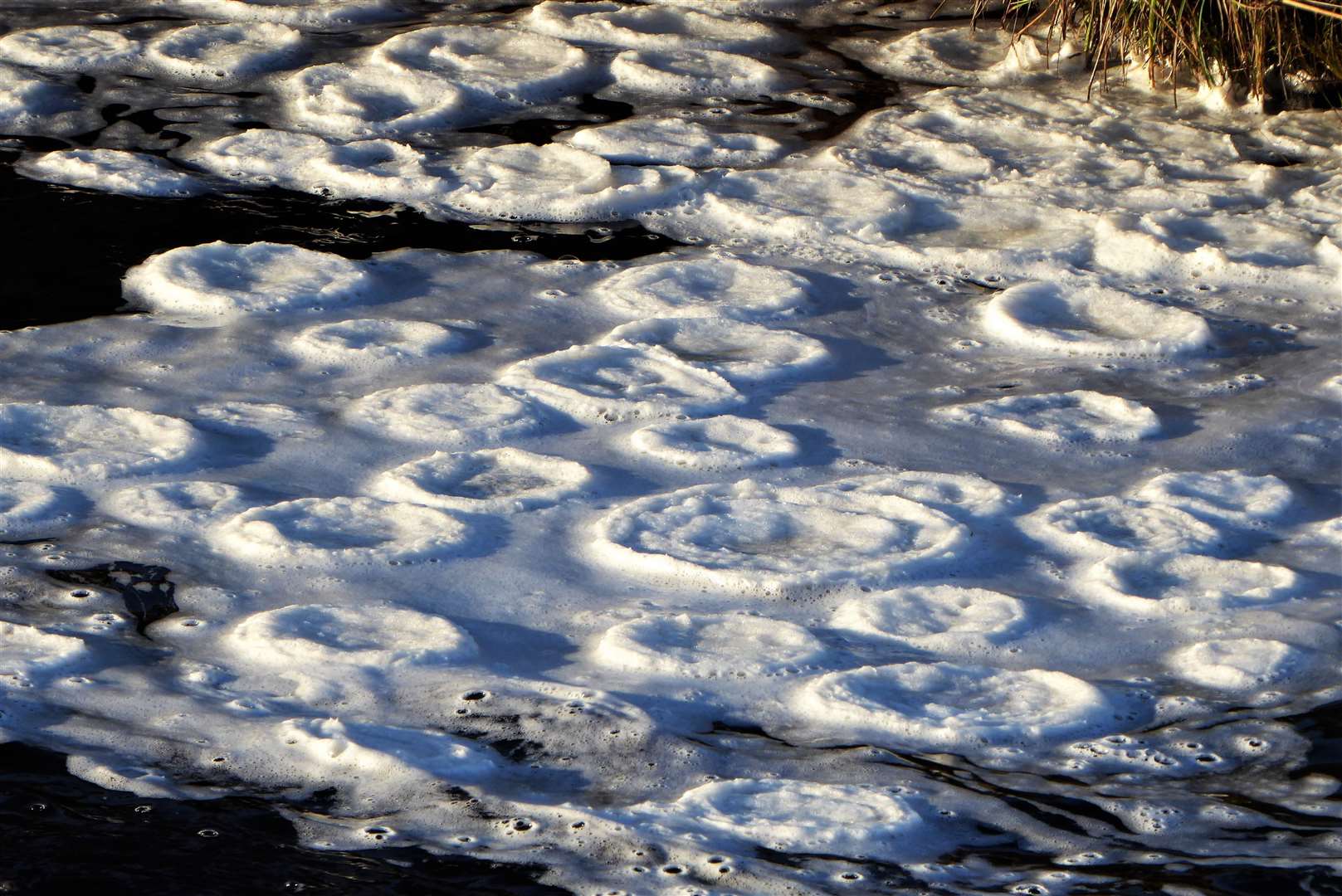 The icy discs form when conditions are just below freezing.
