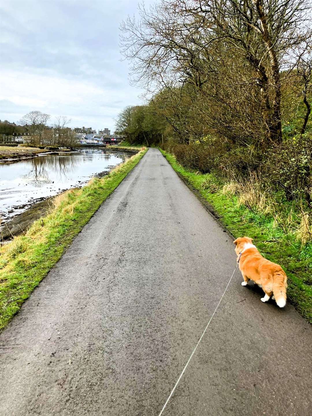 The caravan access road was cleared earlier in the day single-handedly by Allan Bruce. Picture: Allan Bruce